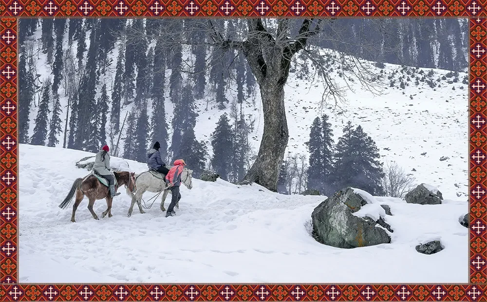 Family Vacation to _Kashmir