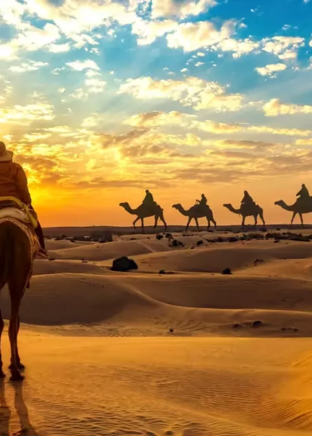 Royal Rajasthan Tour Package_9